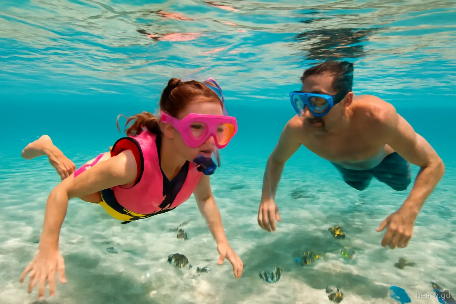 Girl around eight in a pink mask and buoyancy vest snorkelling face-down beside her father over sand and small reef fish, clear shallow water off Grenada, sunlight