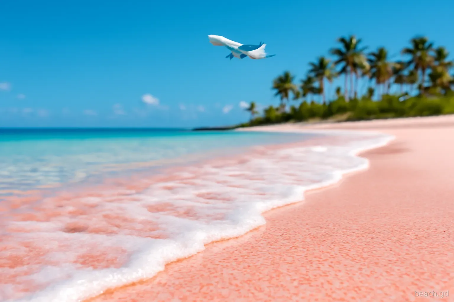 Close-up of pink-tinged shelly sand at the water edge of Pink Gin Beach, small wave washing over, blurred palms and a passenger jet high in a blue sky