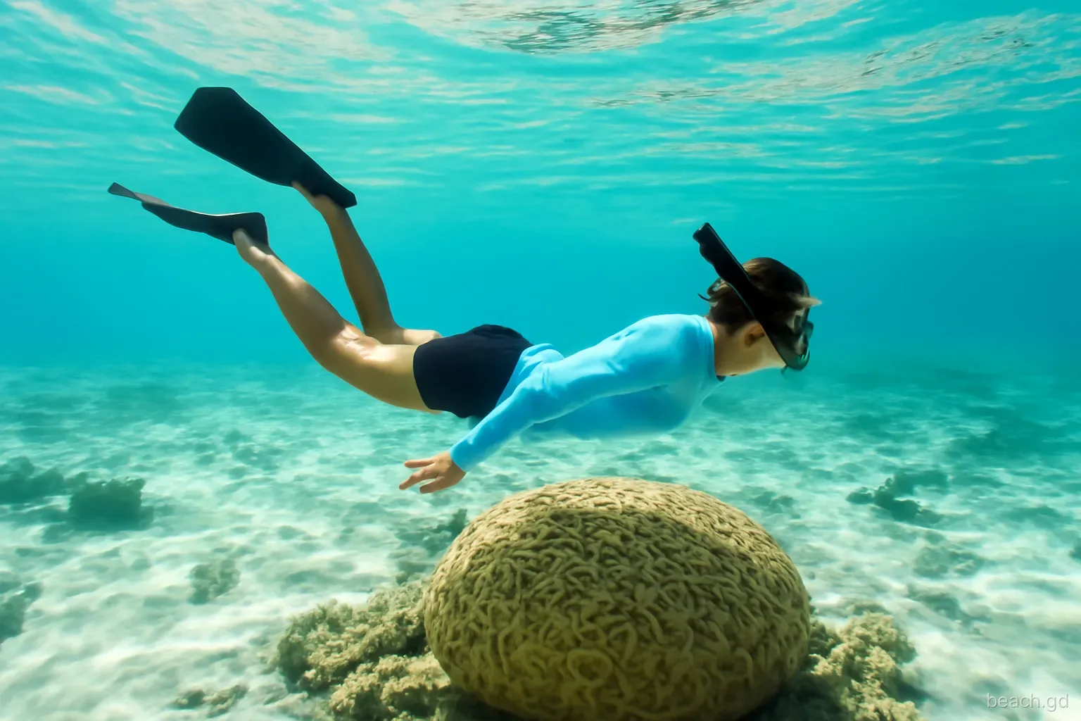 Snorkeller in a long-sleeved rash vest floating horizontally above a shallow brain coral, fins raised away from the reef, underwater side view, clear water and sunlight